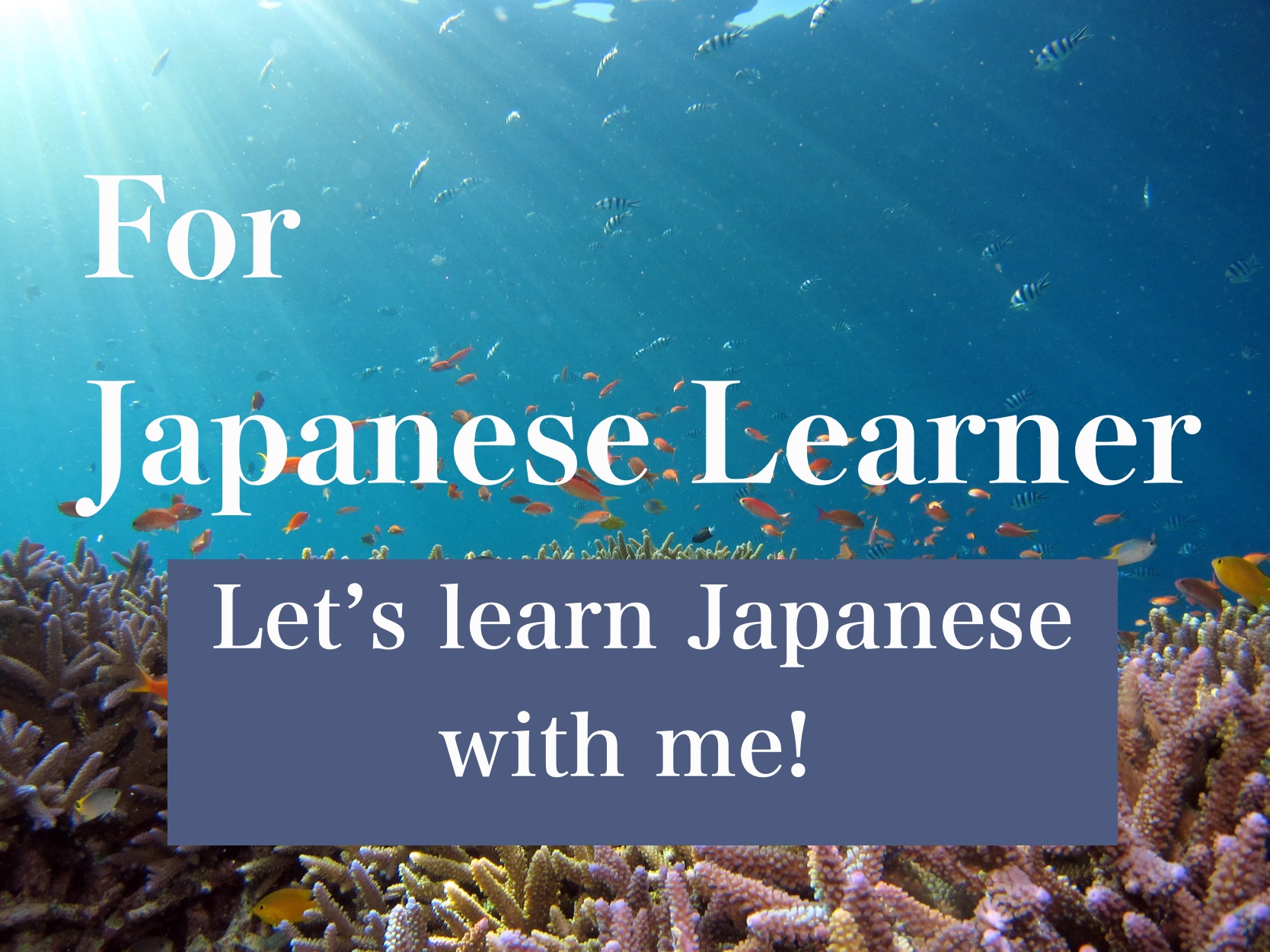 Japanese learner