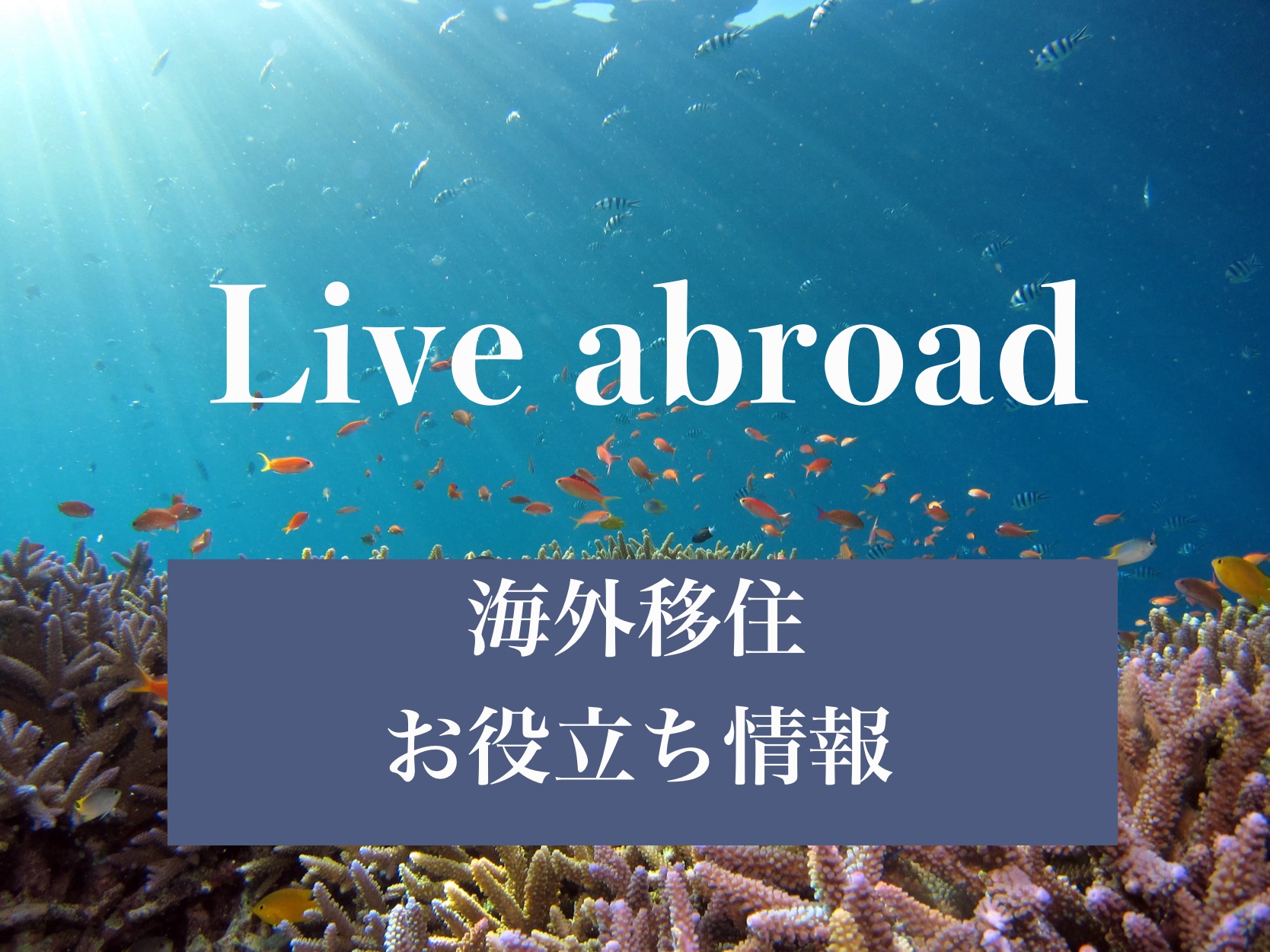 Live abroad